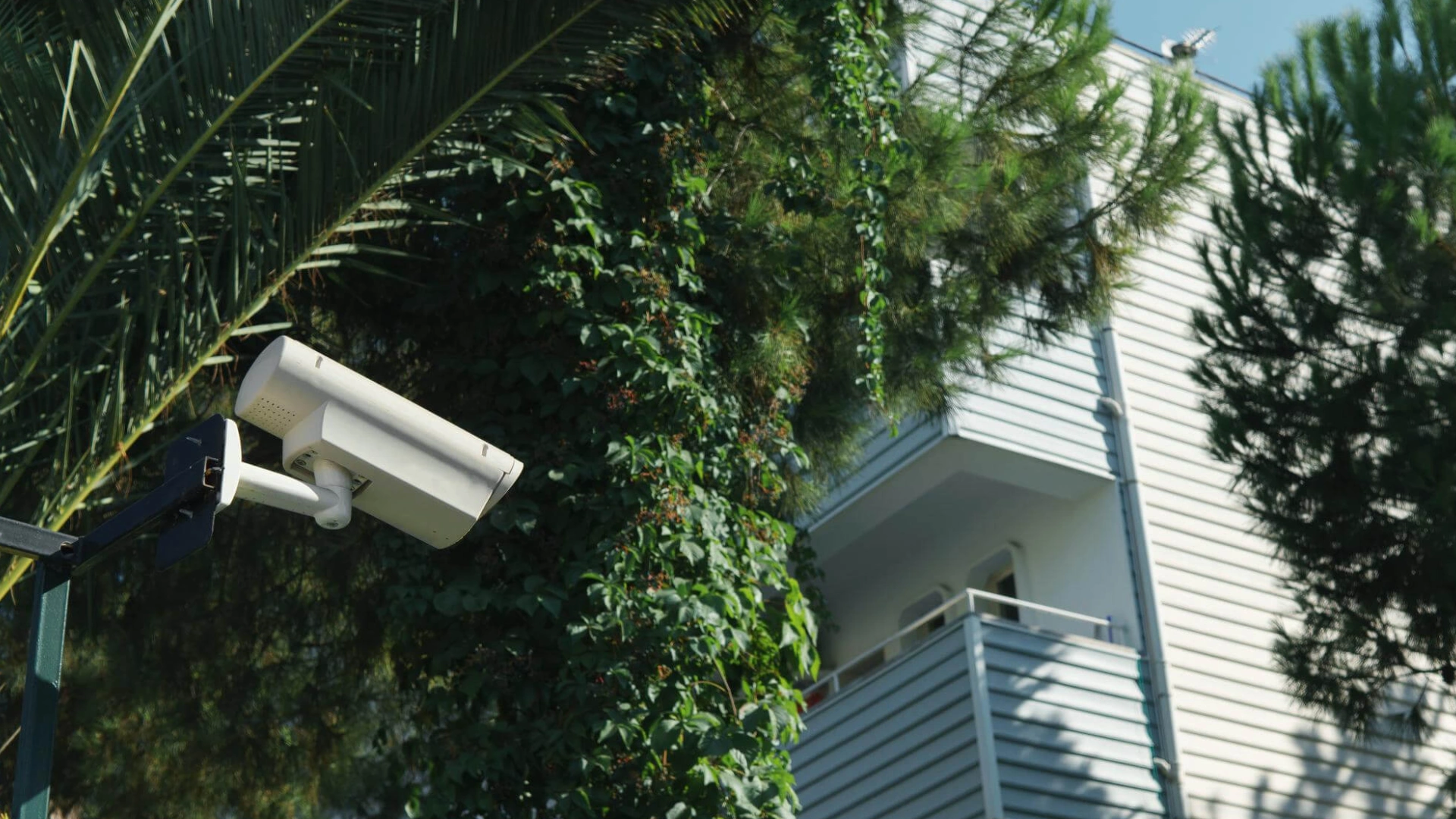 Doorbell Cameras n b